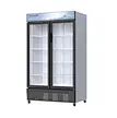 Double Doors Freezer